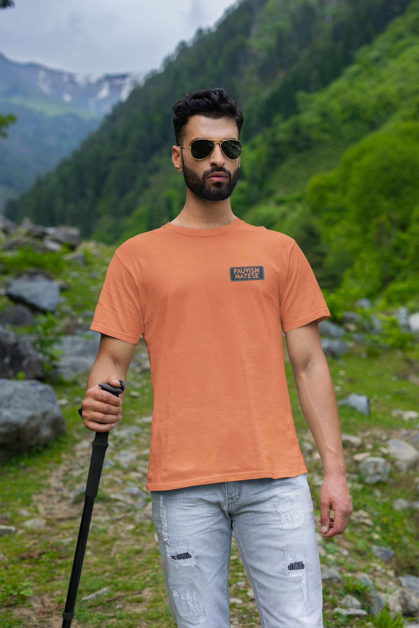 Fauvism Matesse Graphic Tee